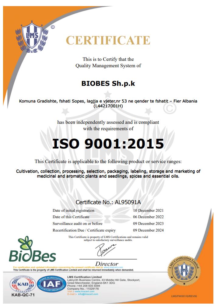 Quality Management Certificate